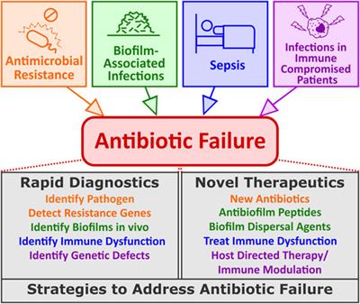 Addressing Antibiotic Failure—Beyond Genetically Encoded Antimicrobial Resistance